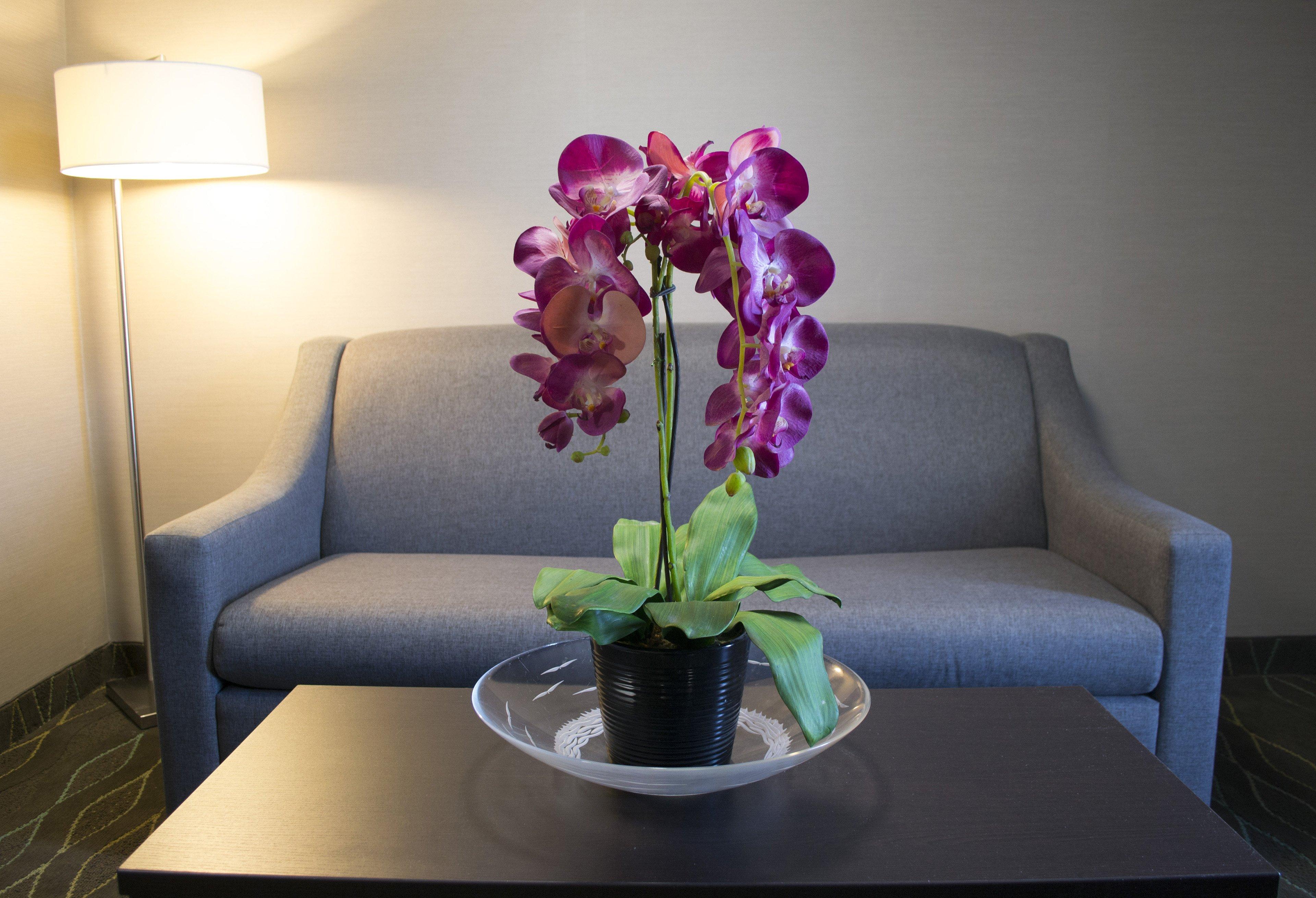 Holiday Inn Sudbury By Ihg Ngoại thất bức ảnh